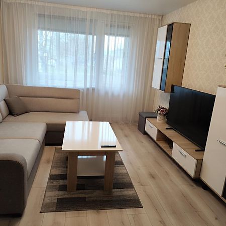 Monica Apartments Panevėžys Kültér fotó