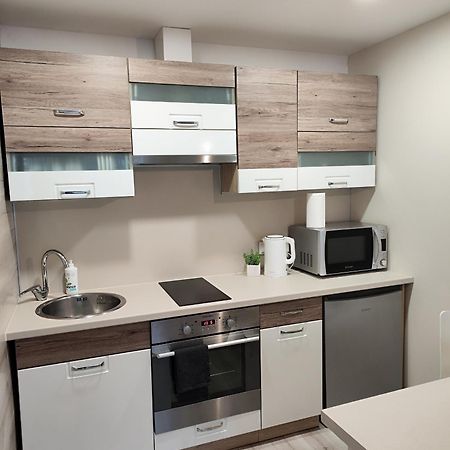 Monica Apartments Panevėžys Kültér fotó