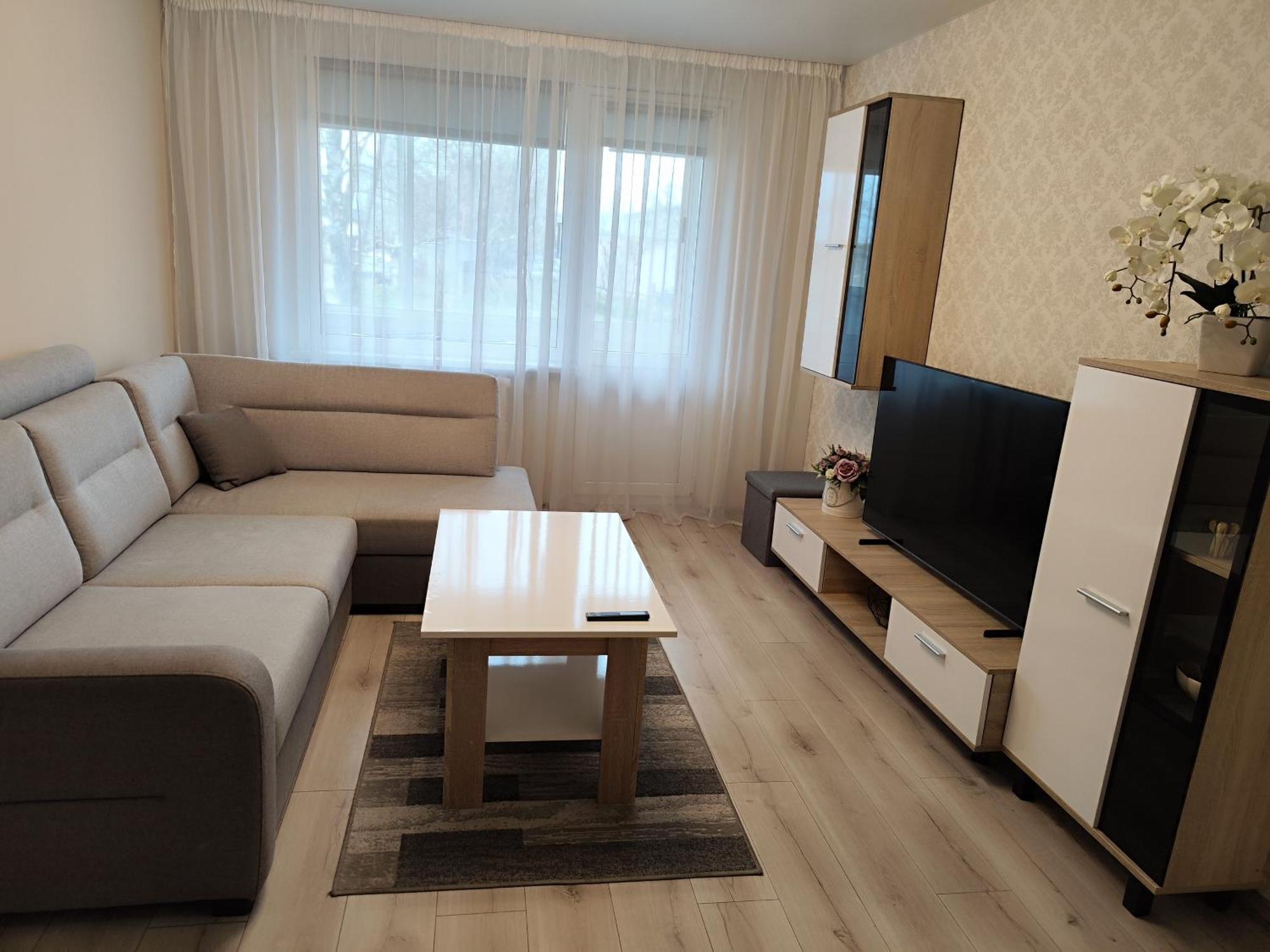 Monica Apartments Panevėžys Kültér fotó
