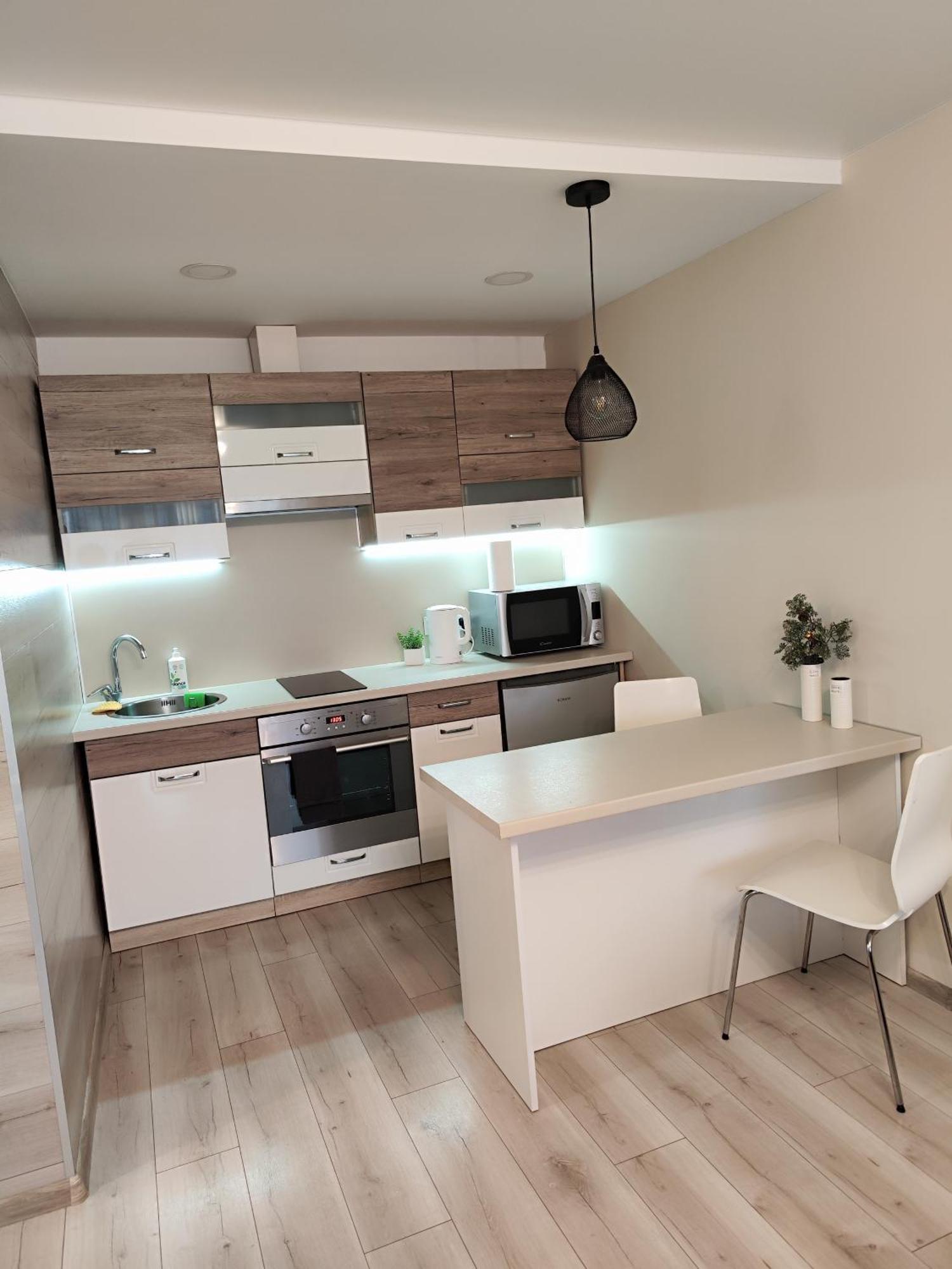 Monica Apartments Panevėžys Kültér fotó