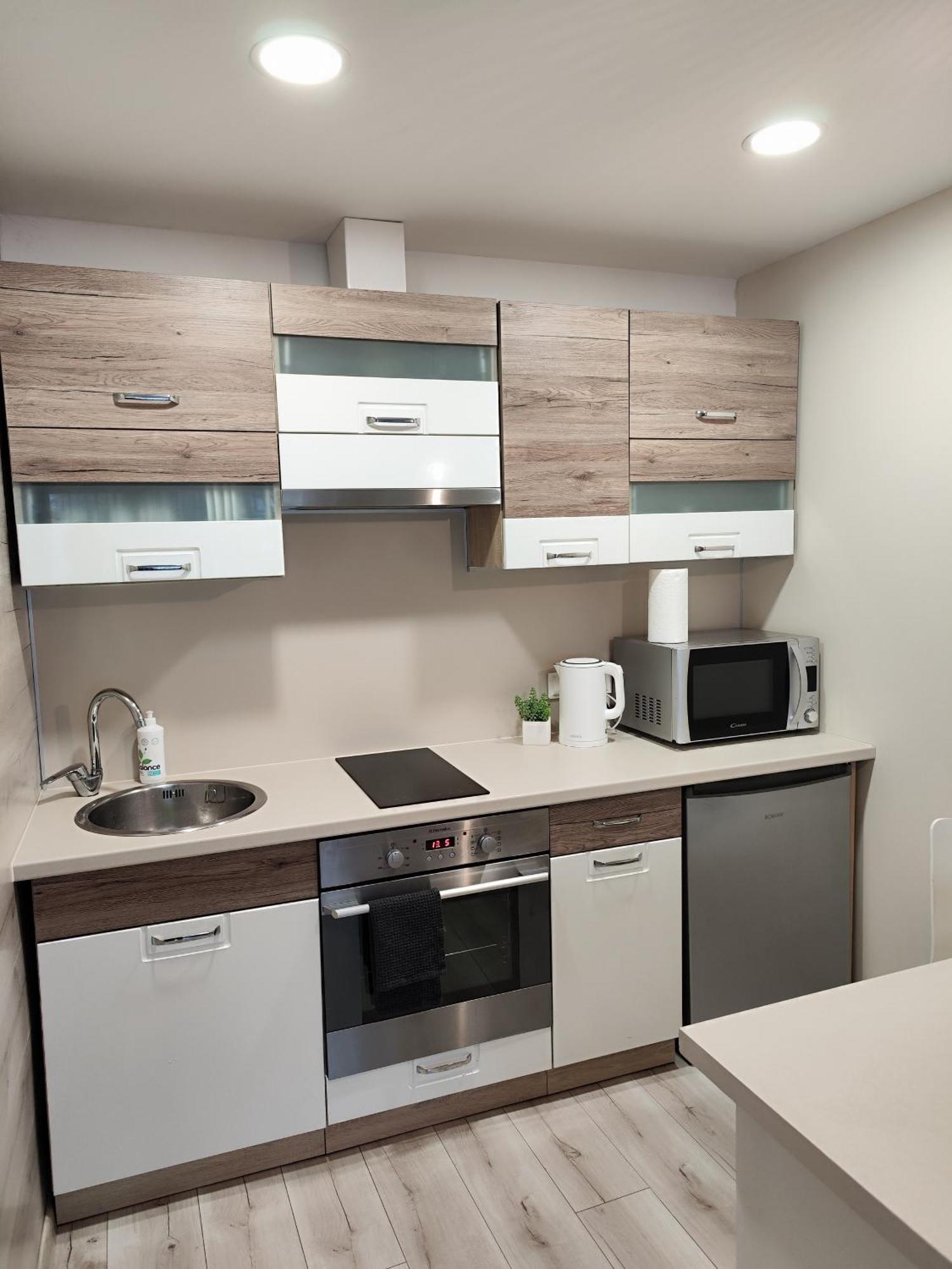 Monica Apartments Panevėžys Kültér fotó
